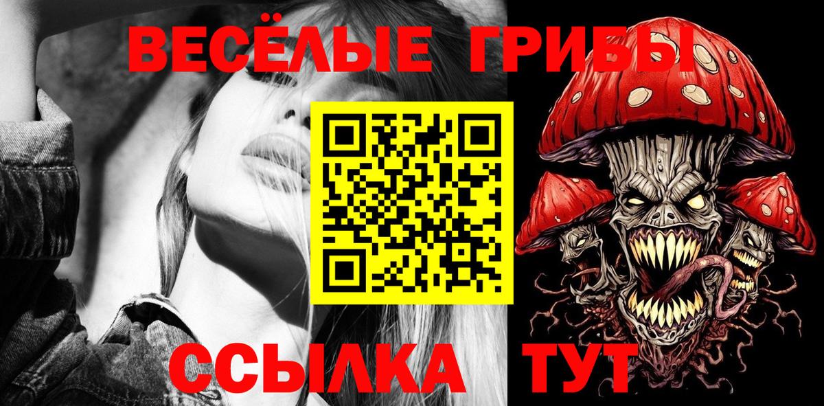Троицк  Галлюциногенные грибы Cubensis  Вход с VPN 
