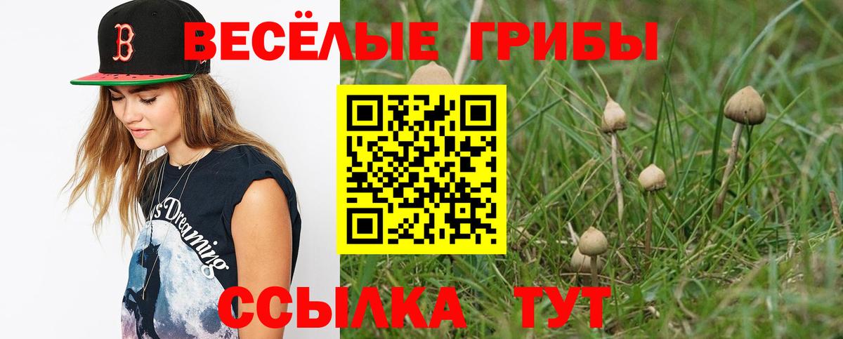 Псилоцибиновые грибы GOLDEN TEACHER Троицк