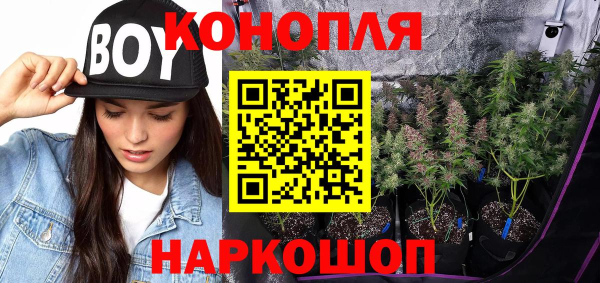 Бошки Шишки конопля Троицк